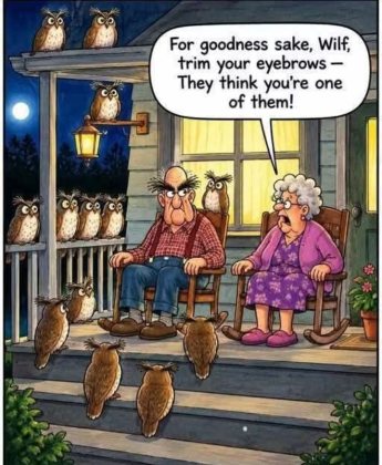 eyes